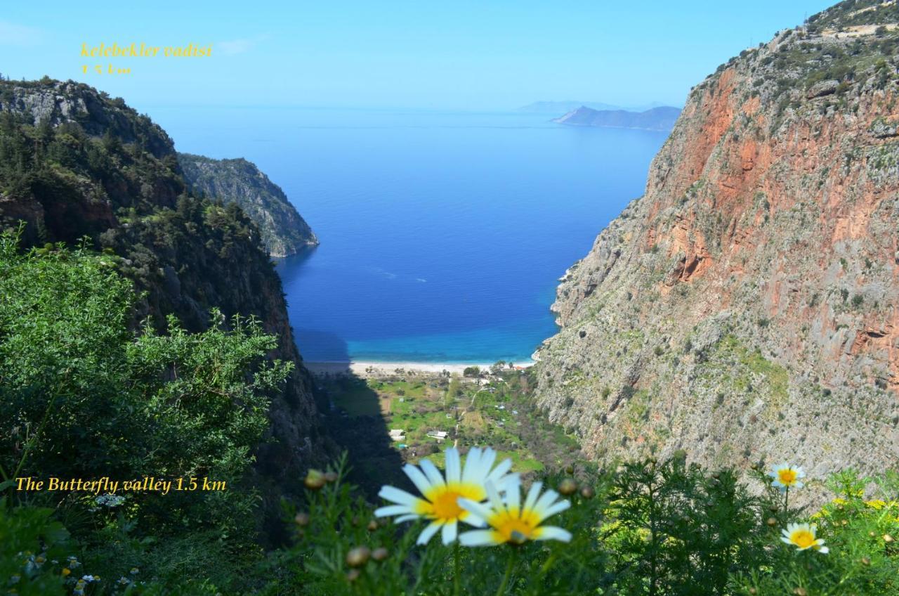 California Apart Otel Oludeniz Bagian luar foto